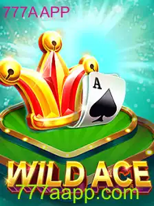 Explorando o Universo do Jogo WildAce: Introdução e Regras